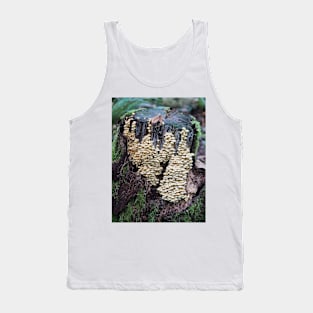 Troops of sulphur tuft mushrooms on a stump Tank Top